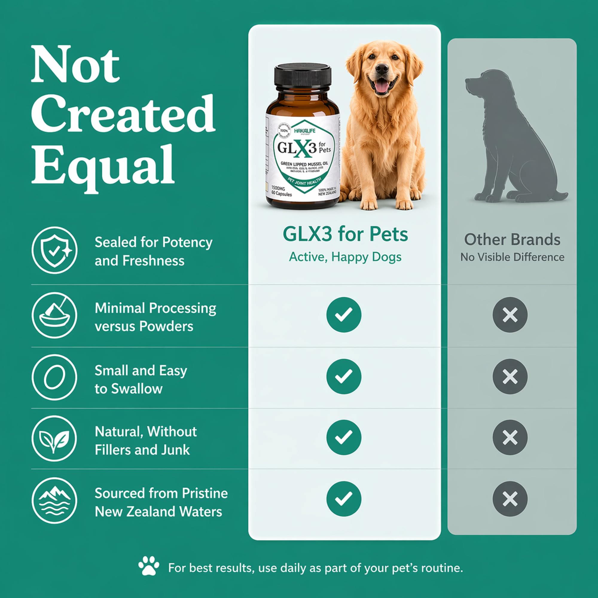 Amazon.com: GLX3 - GREEN LIPPED MUSSEL OIL - HAKA LIFE NUTRITION